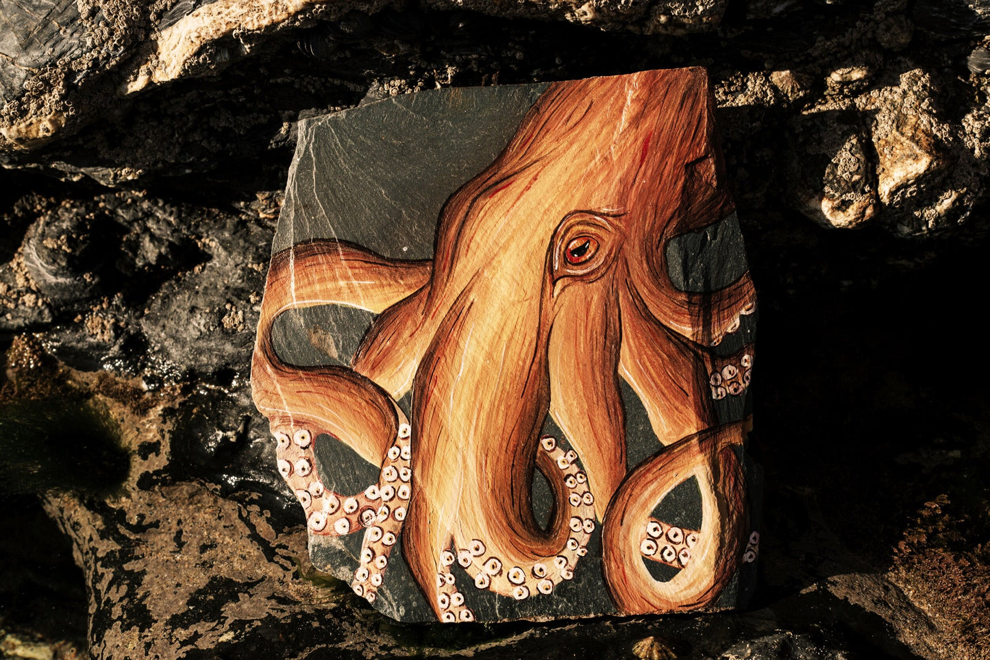 Octopus on Slate, Original Watercolour Painting
