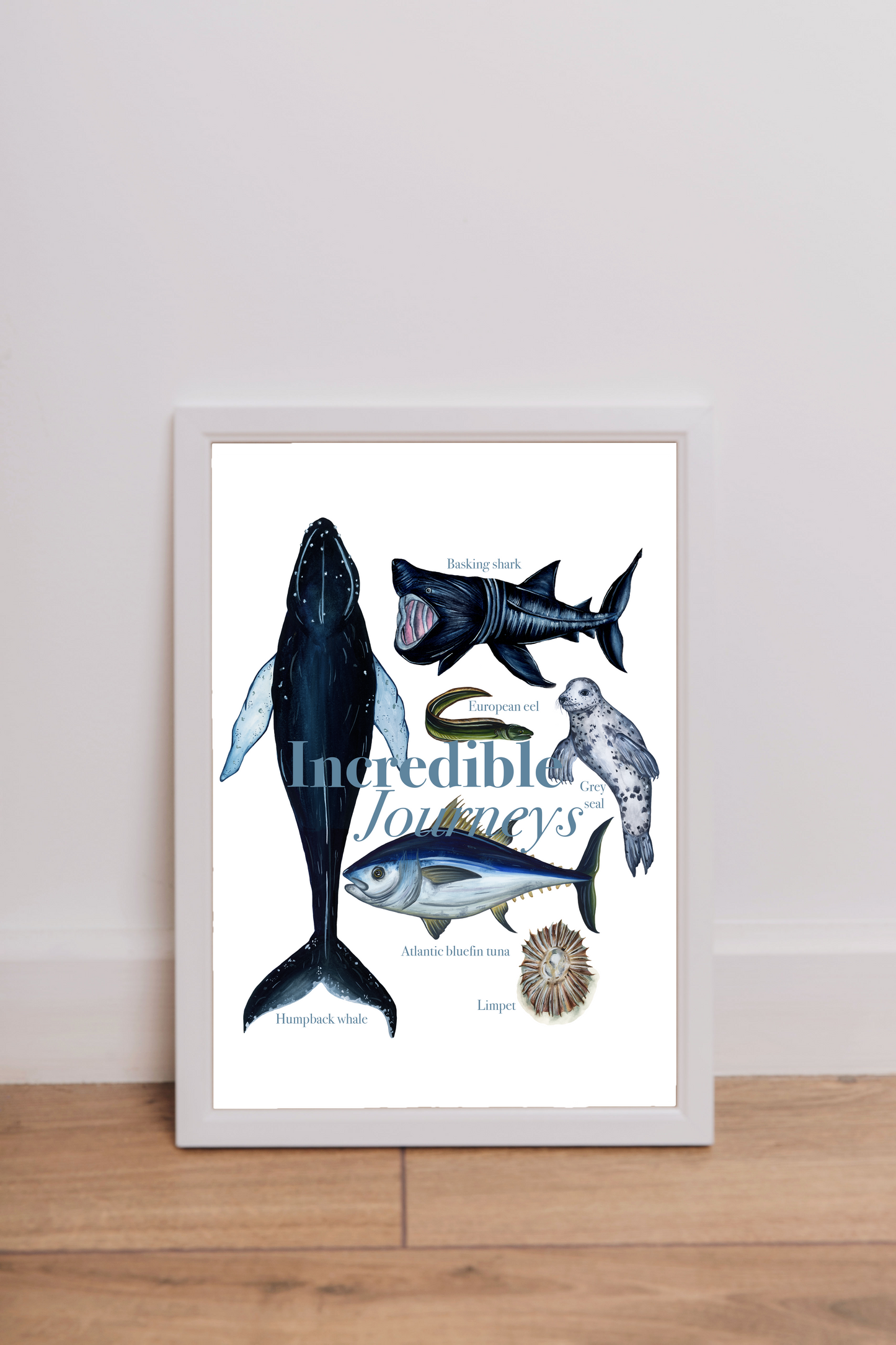 Cornwall Wildlife Trust Incredible Journeys Fine Art Print