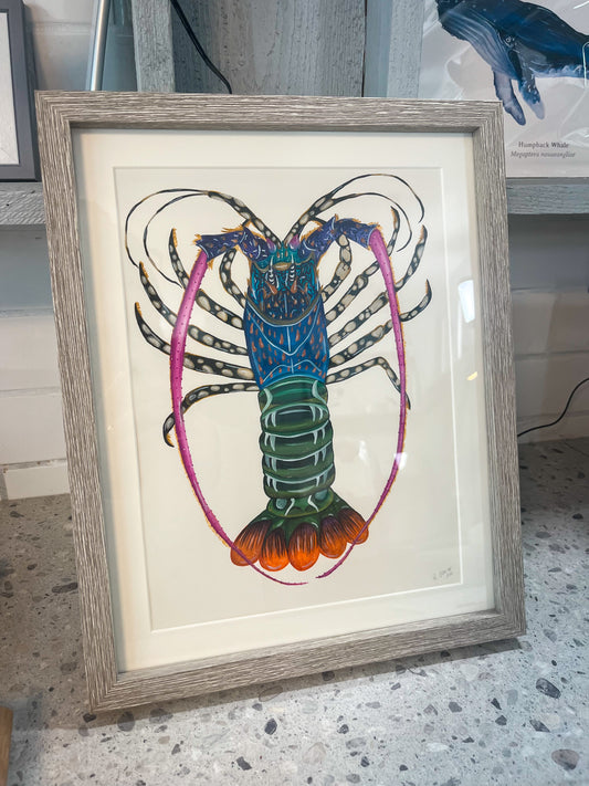 Ornate Rock Lobster Original Watercolour Painting