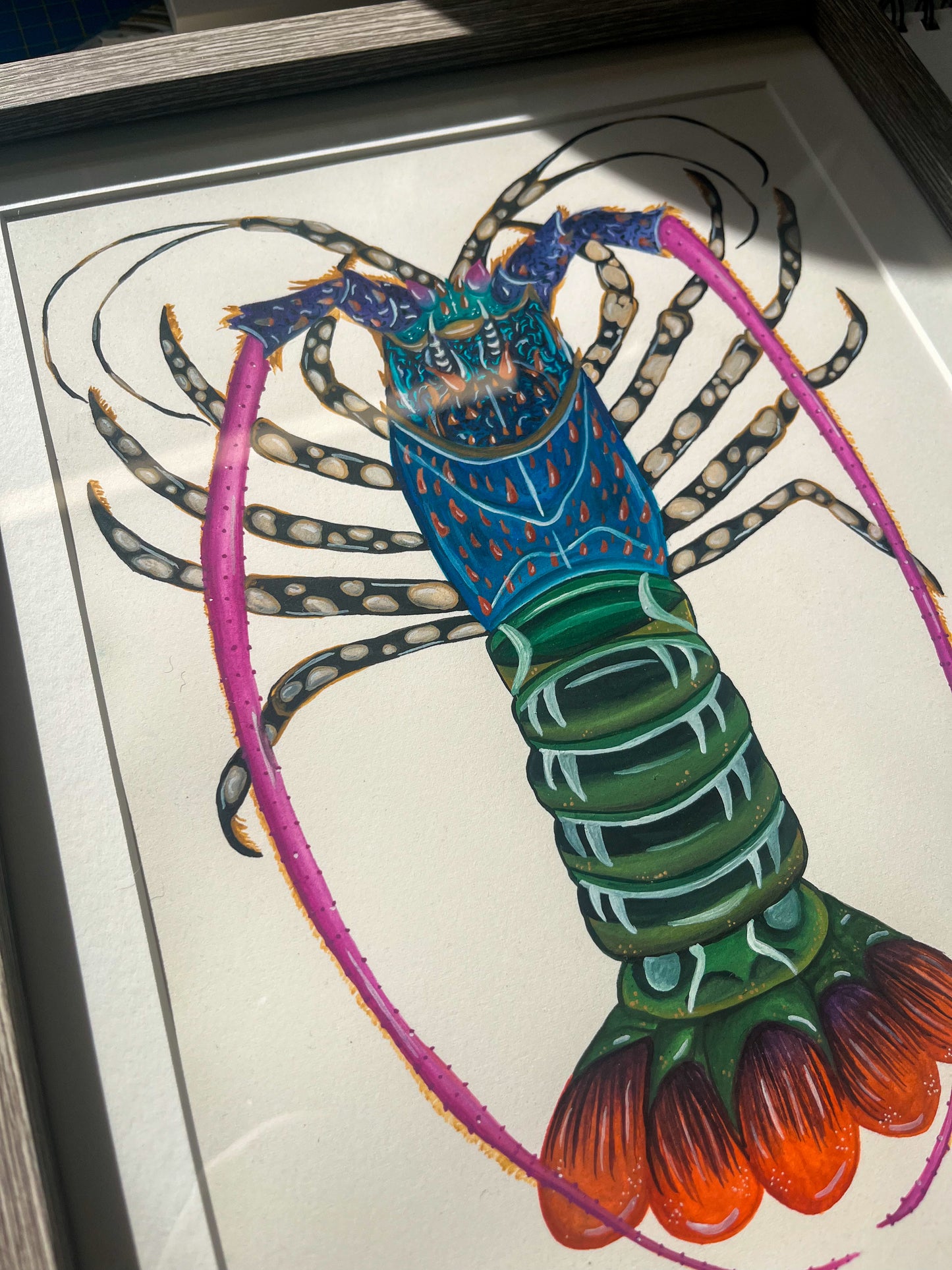 Ornate Rock Lobster Original Watercolour Painting