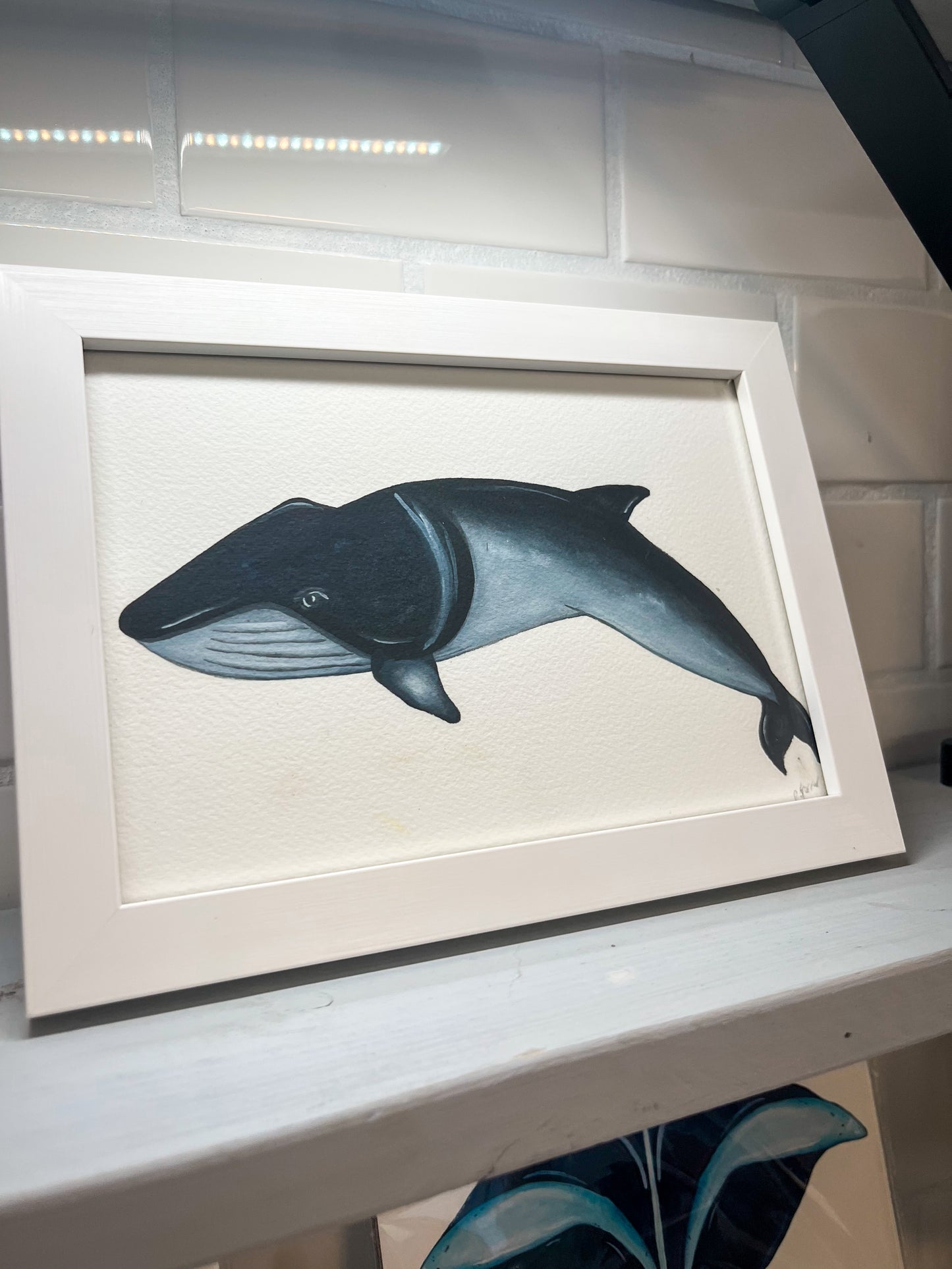 Minke Whale Original Watercolour Painting