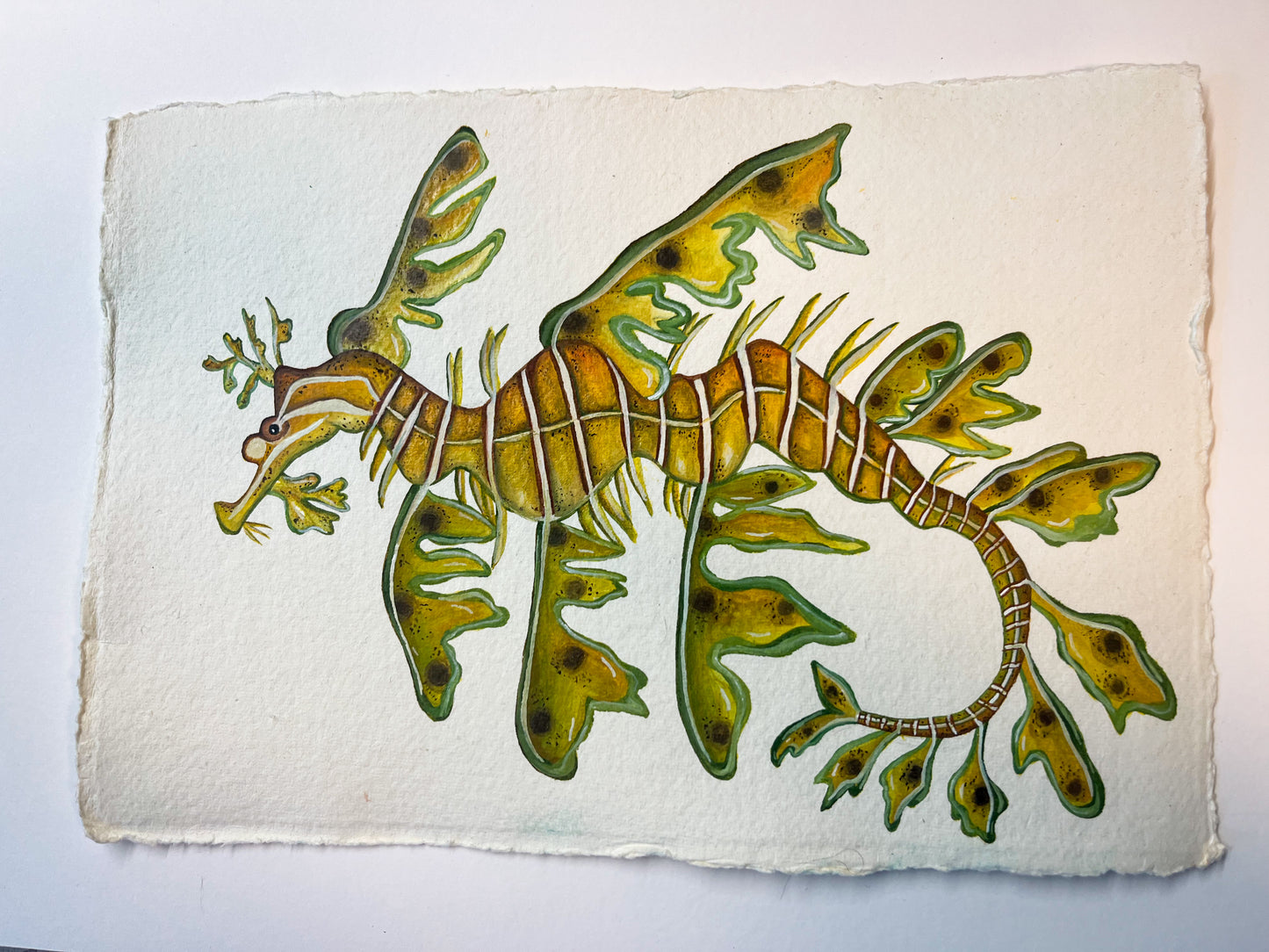 Leafy Sea Dragon Original Watercolour Painting