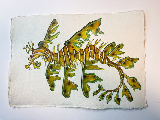 Leafy Sea Dragon Original Watercolour Painting