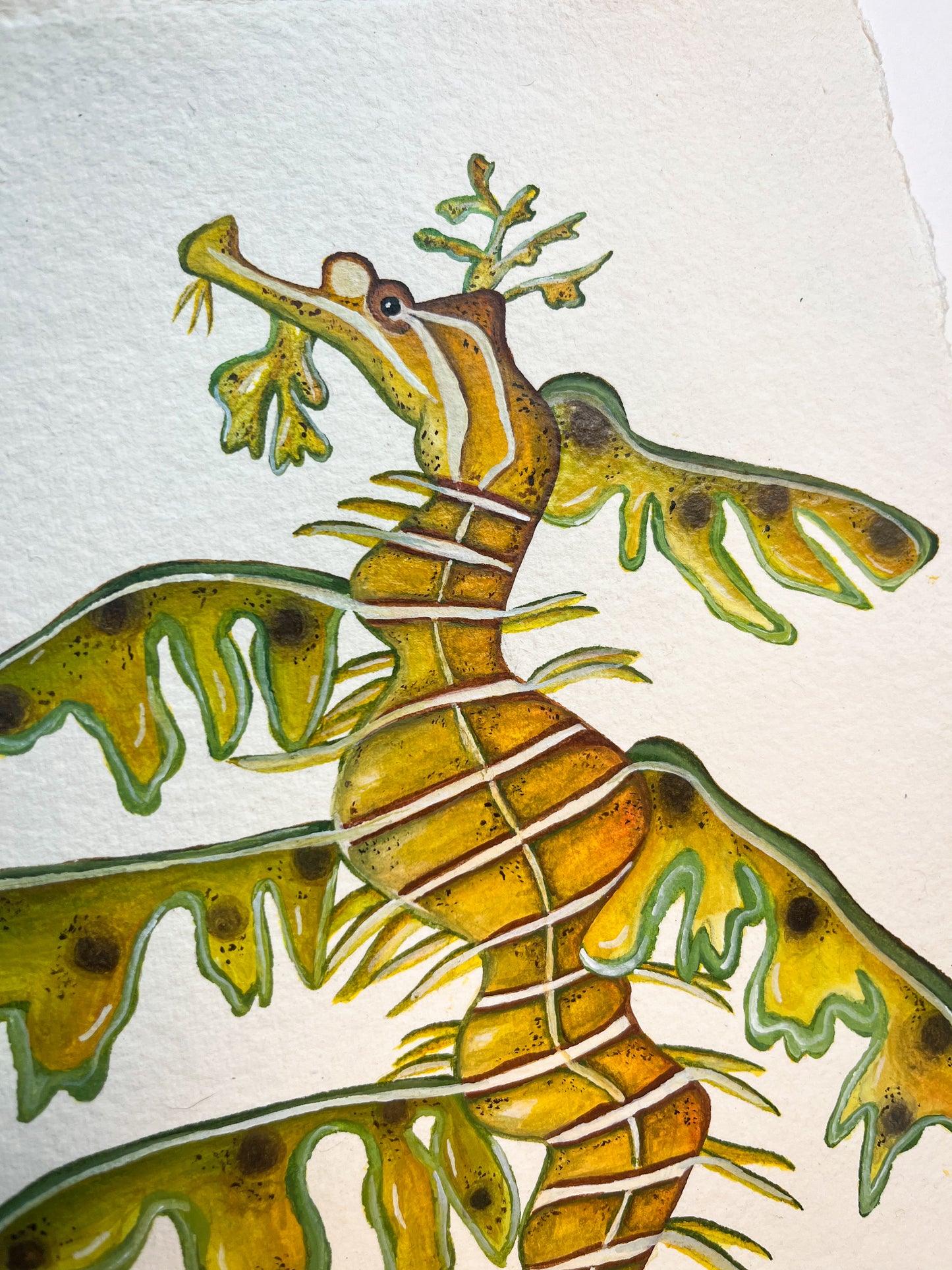 Leafy Sea Dragon Original Watercolour Painting