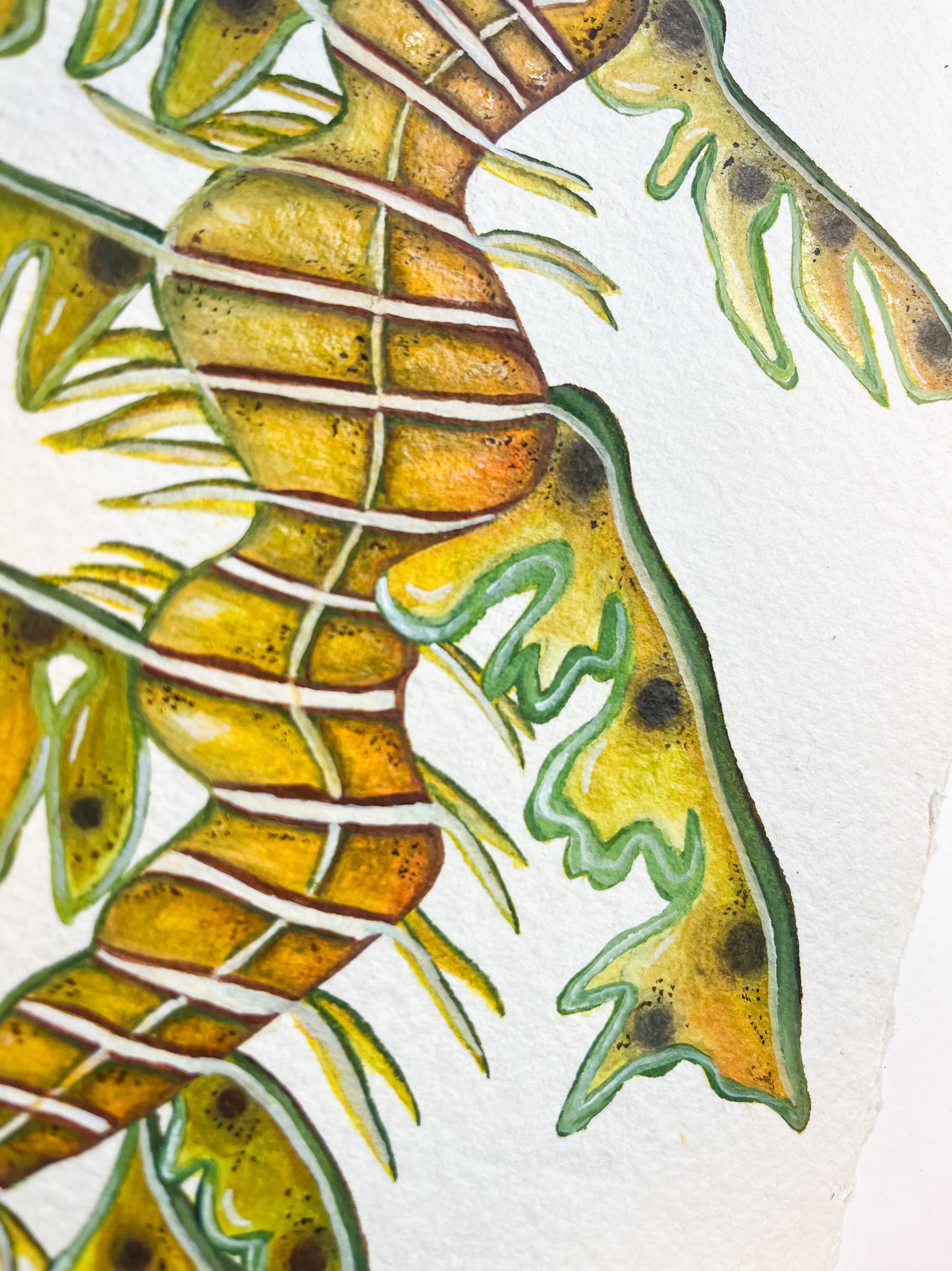 Leafy Sea Dragon Original Watercolour Painting