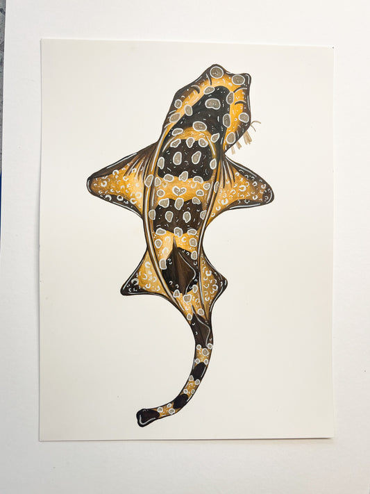 Spotted Wobbegong Original Watercolour