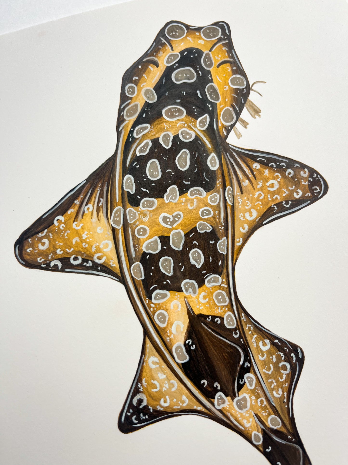 Spotted Wobbegong Original Watercolour