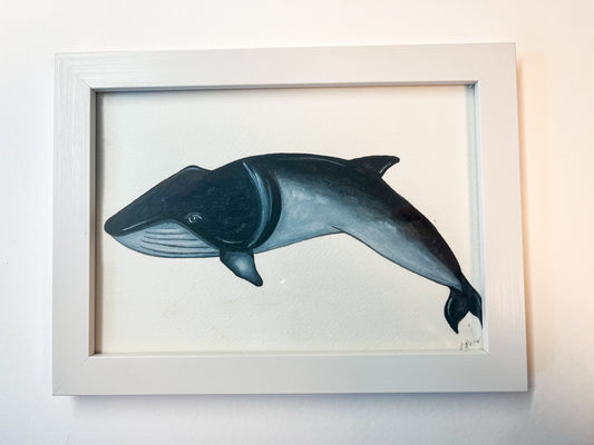 Minke Whale Original Watercolour Painting