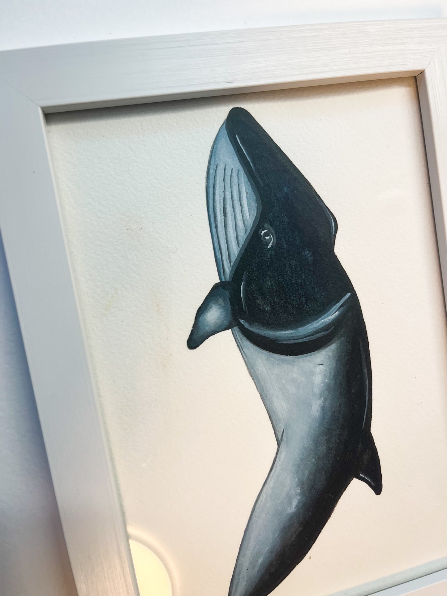 Minke Whale Original Watercolour Painting