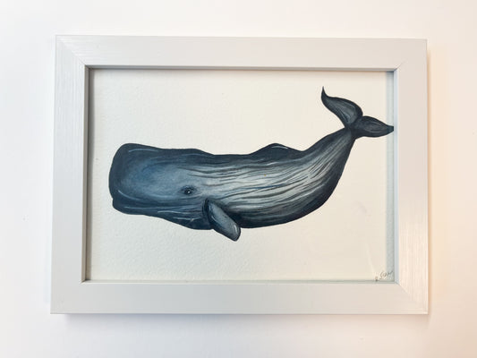 Sperm Whale Original Watercolour Painting