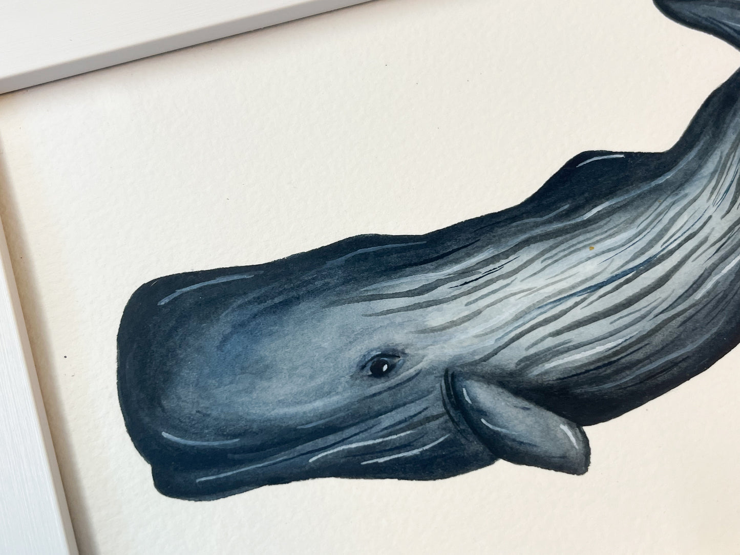 Sperm Whale Original Watercolour Painting