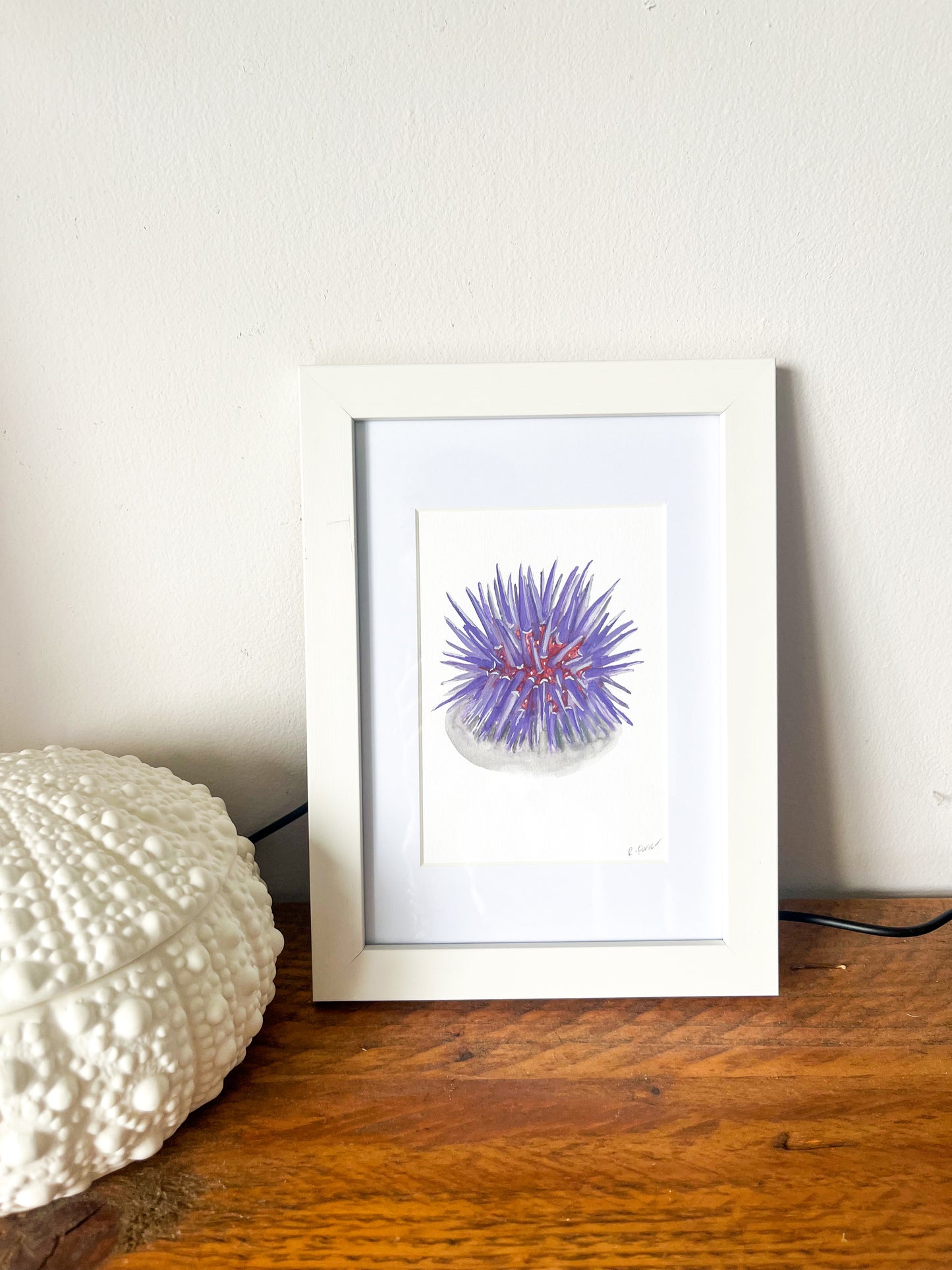 Purple Sea Urchin Mini Original Watercolour
