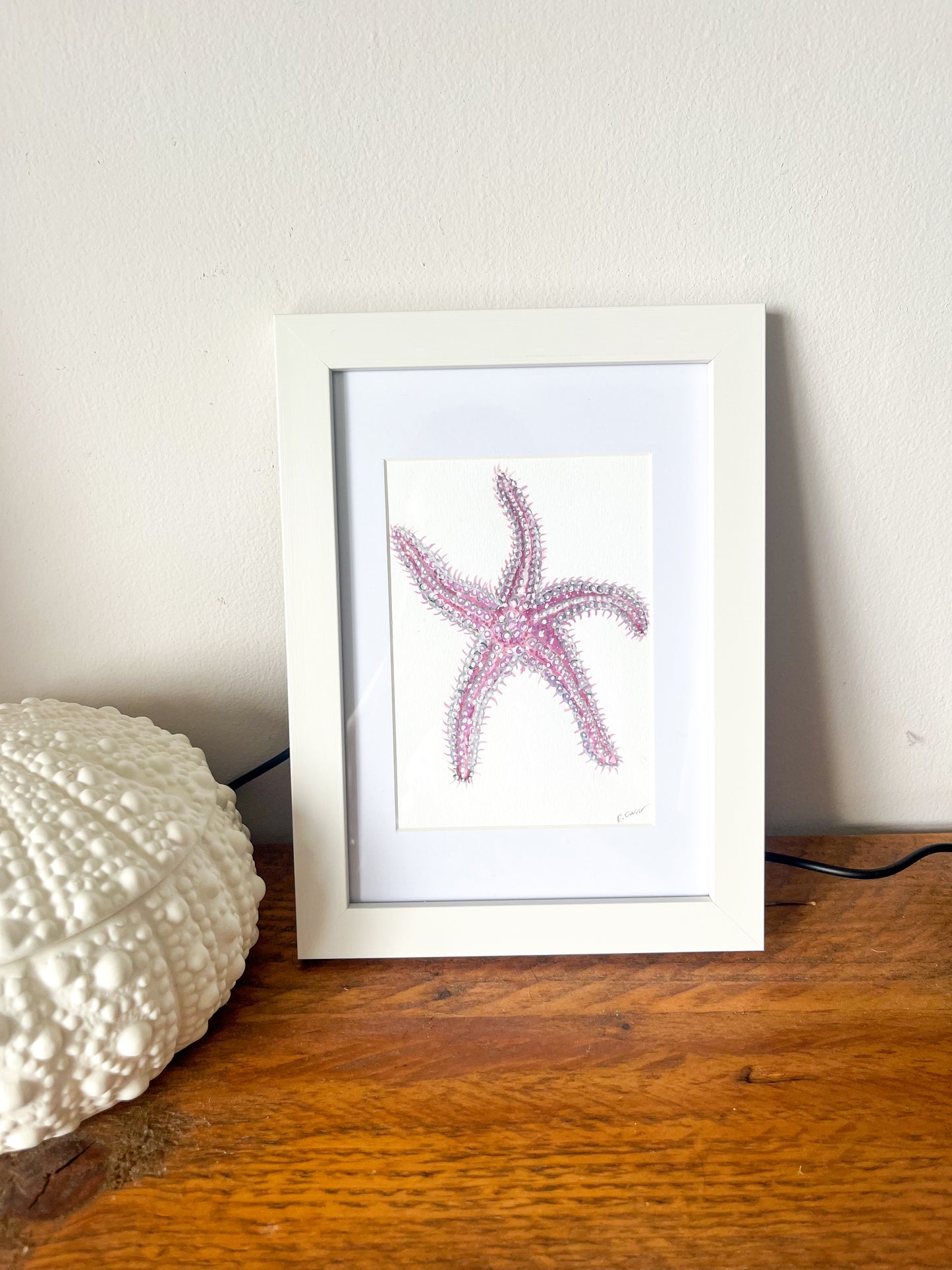 Spiny Starfish Mini Original Watercolour