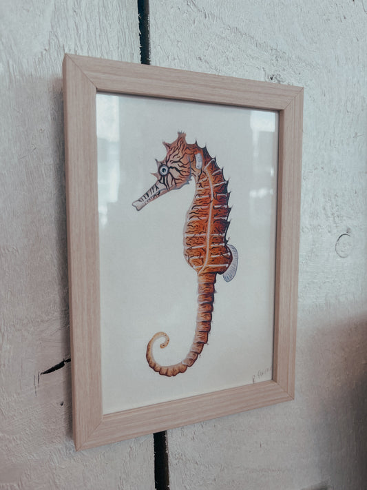 Tiger Snout Seahorse Mini Frame