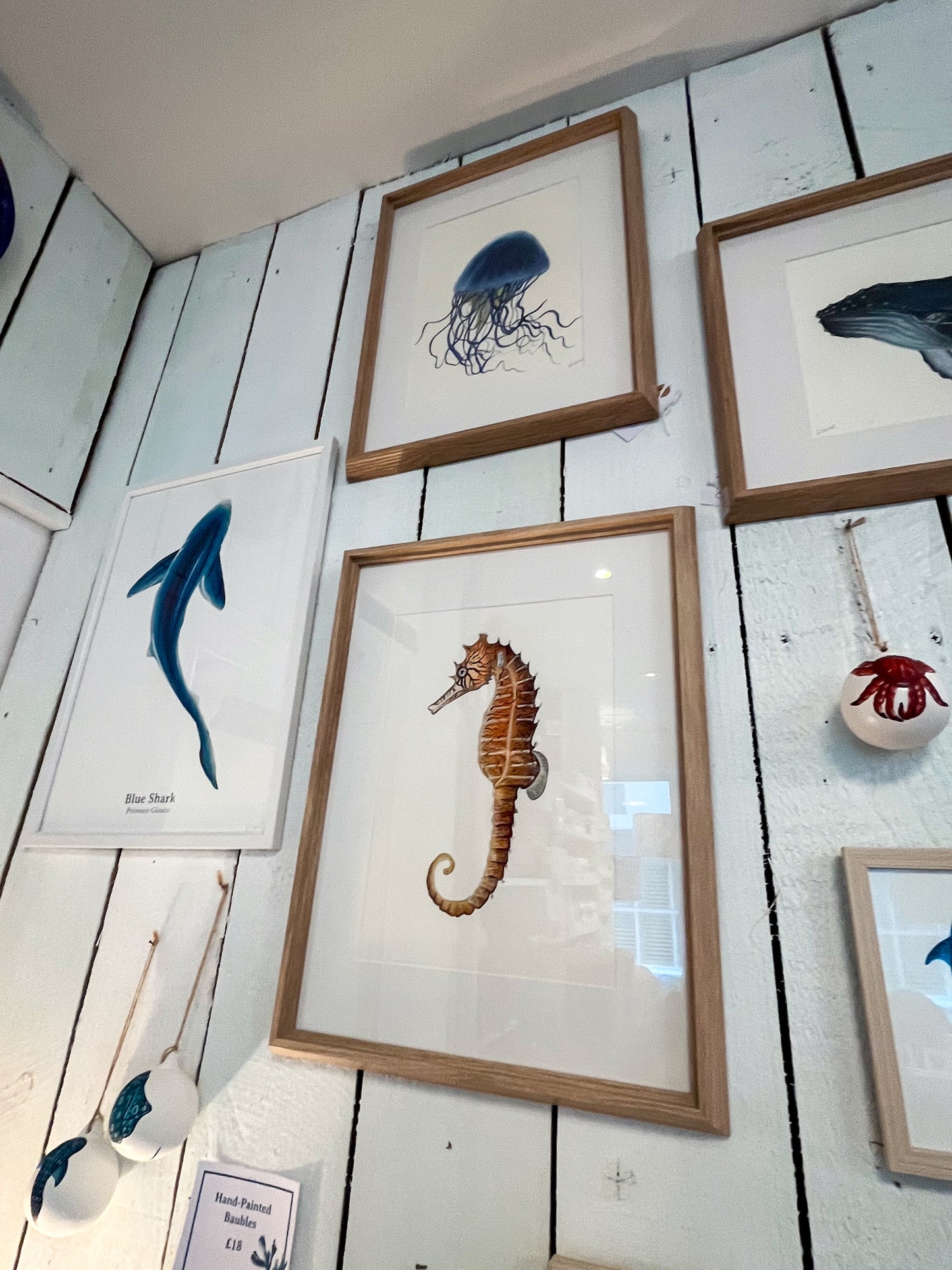 Tiger Snout Seahorse Original Watercolour