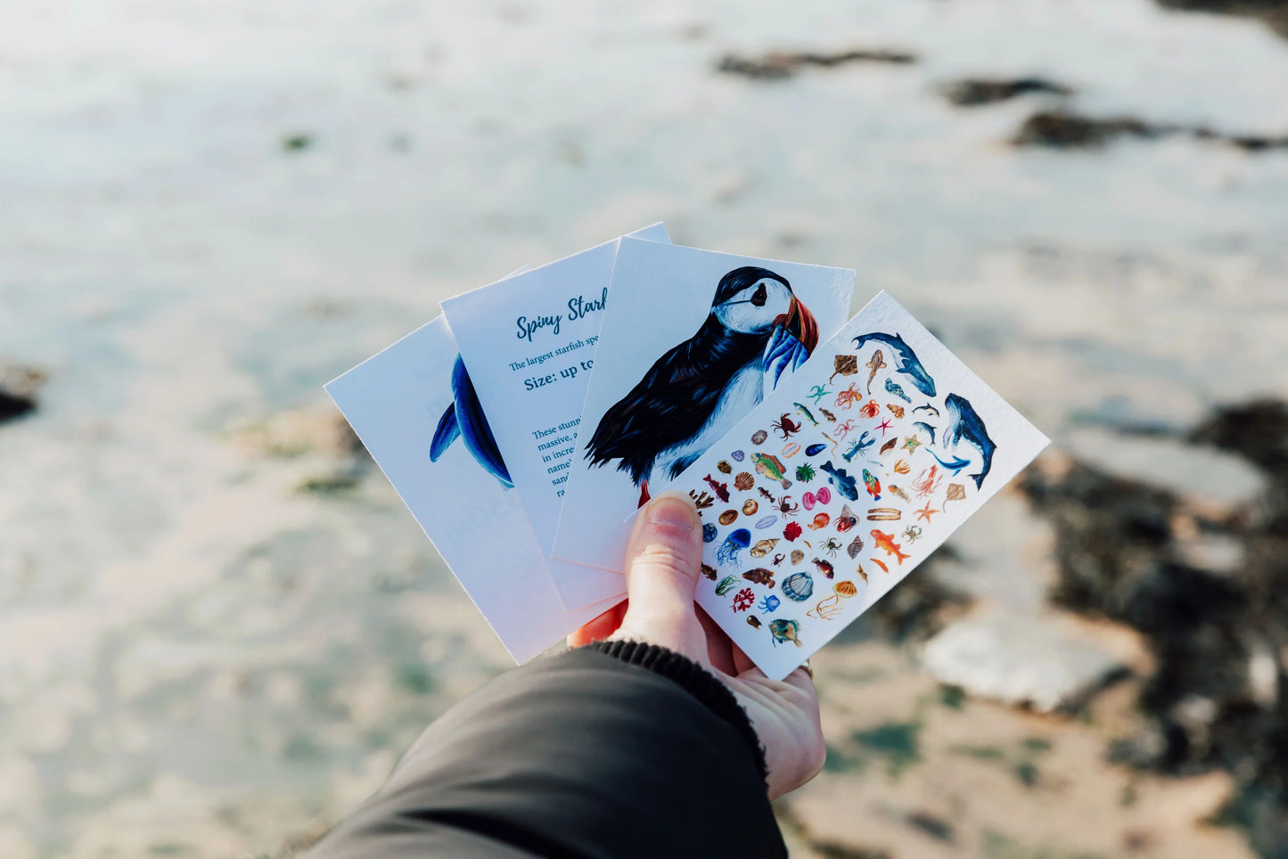 The Ocean Archive