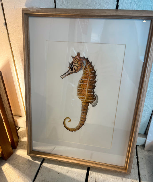 Tiger Snout Seahorse Original Watercolour