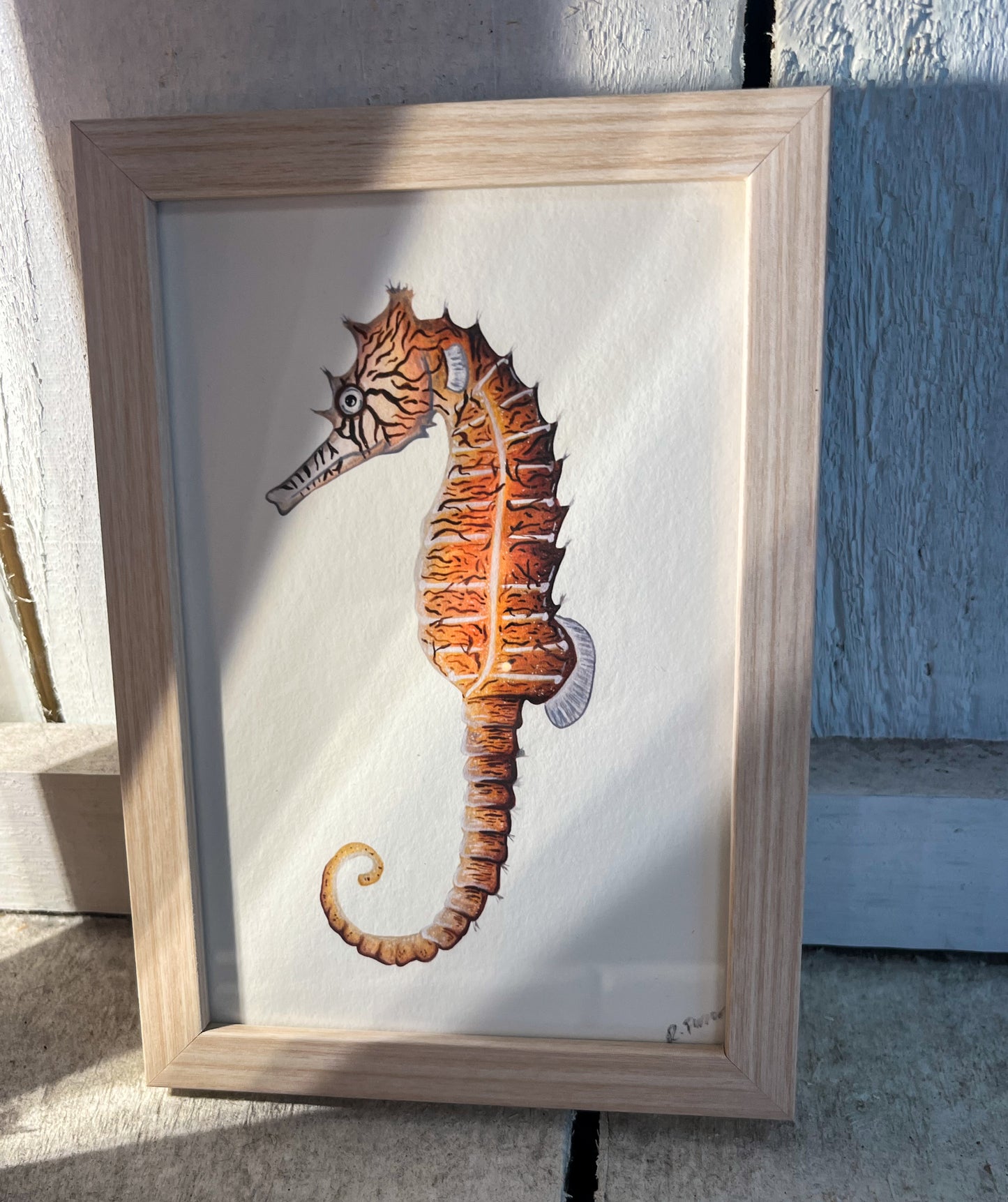 Tiger Snout Seahorse Mini Frame