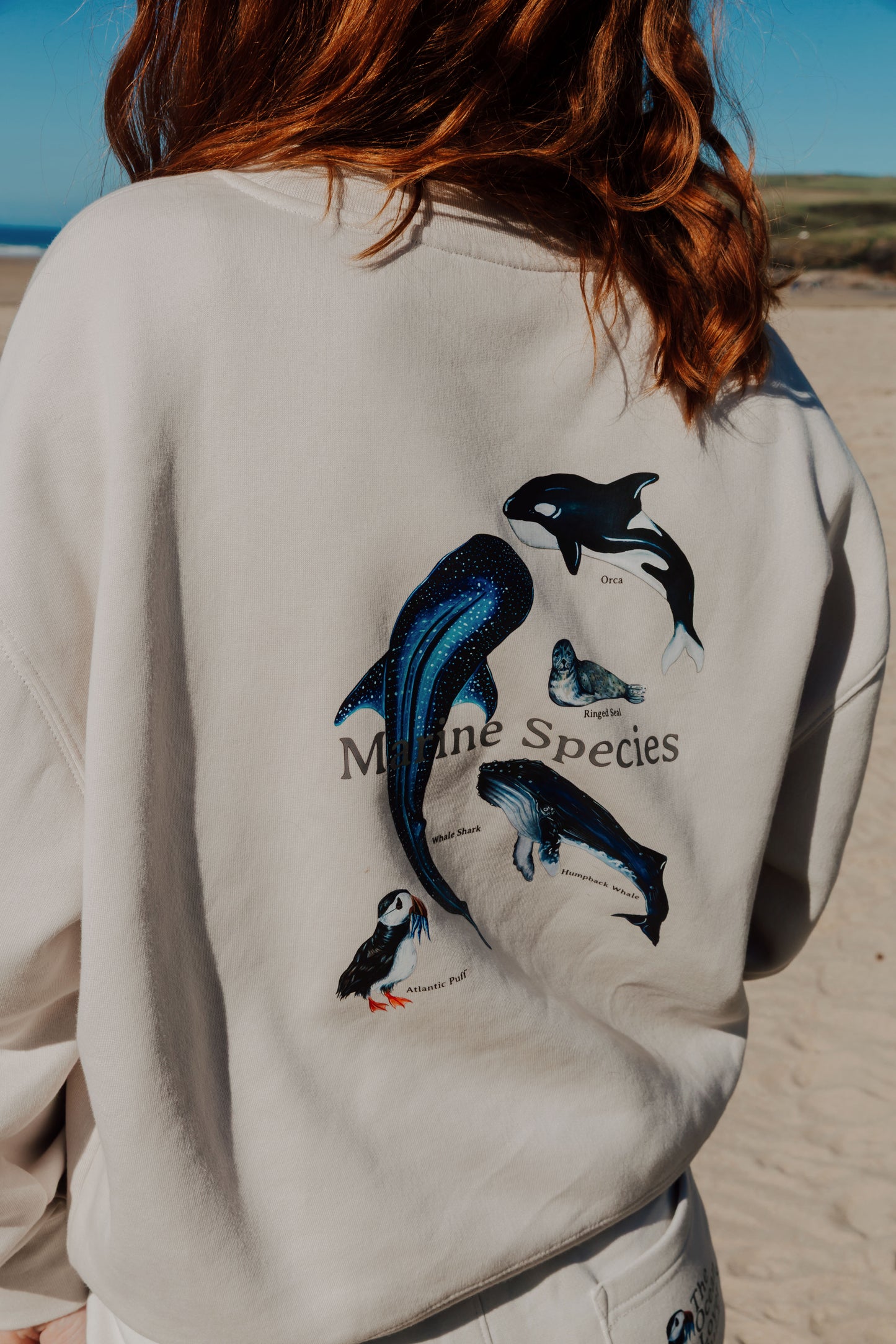 Marine Species 2.0 Sweater