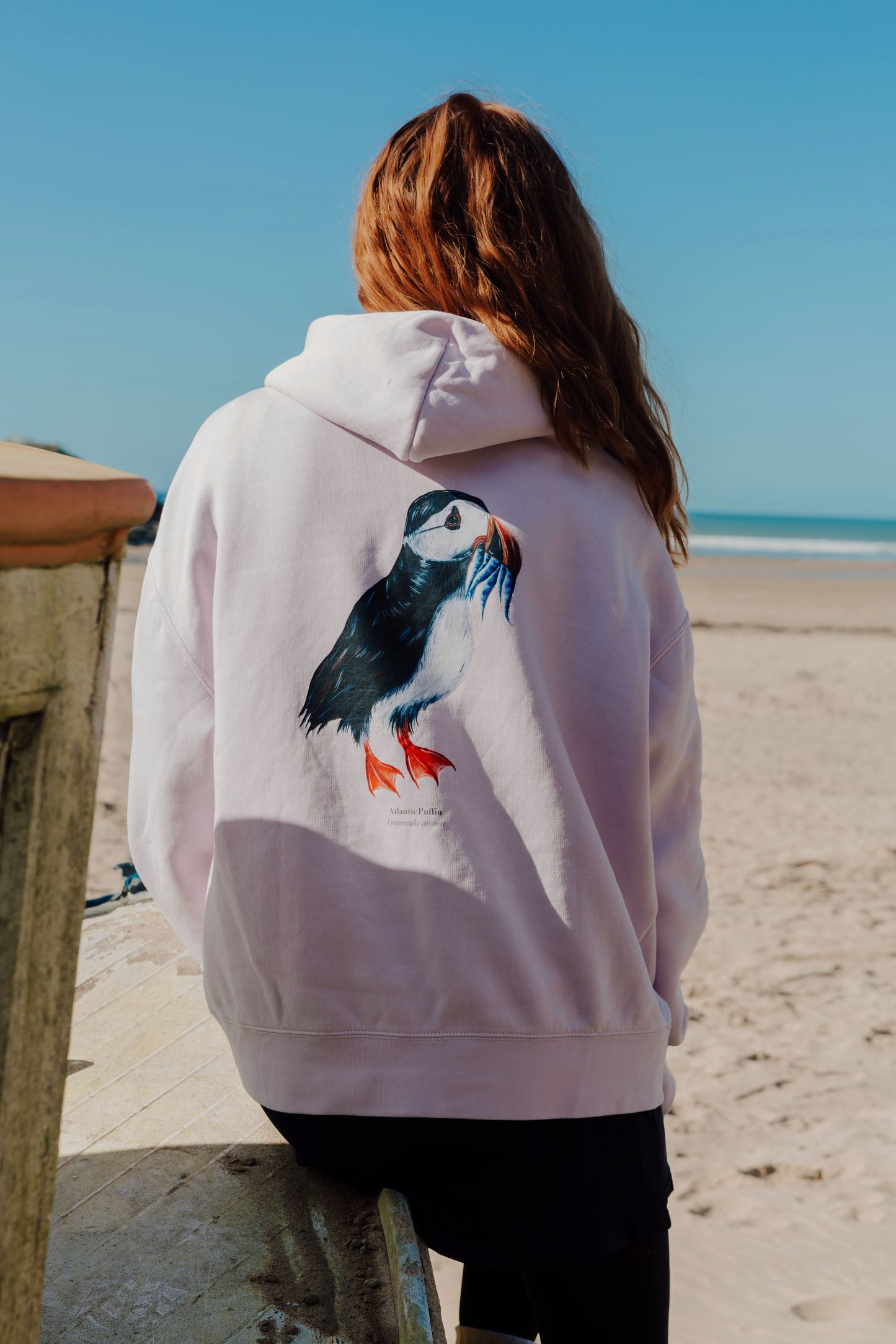 Atlantic Puffin Hoody