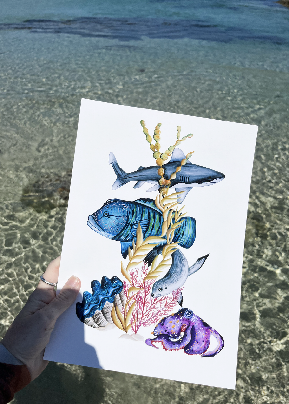 Reef Life in Motion Fine Art Print