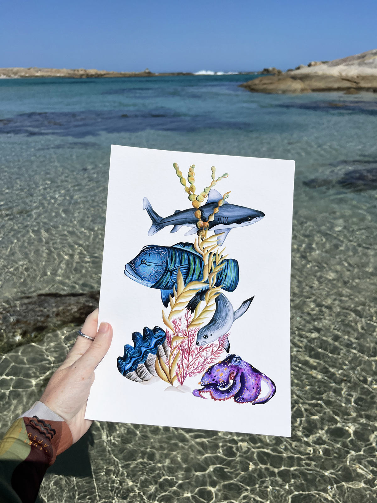 Reef Life in Motion Fine Art Print