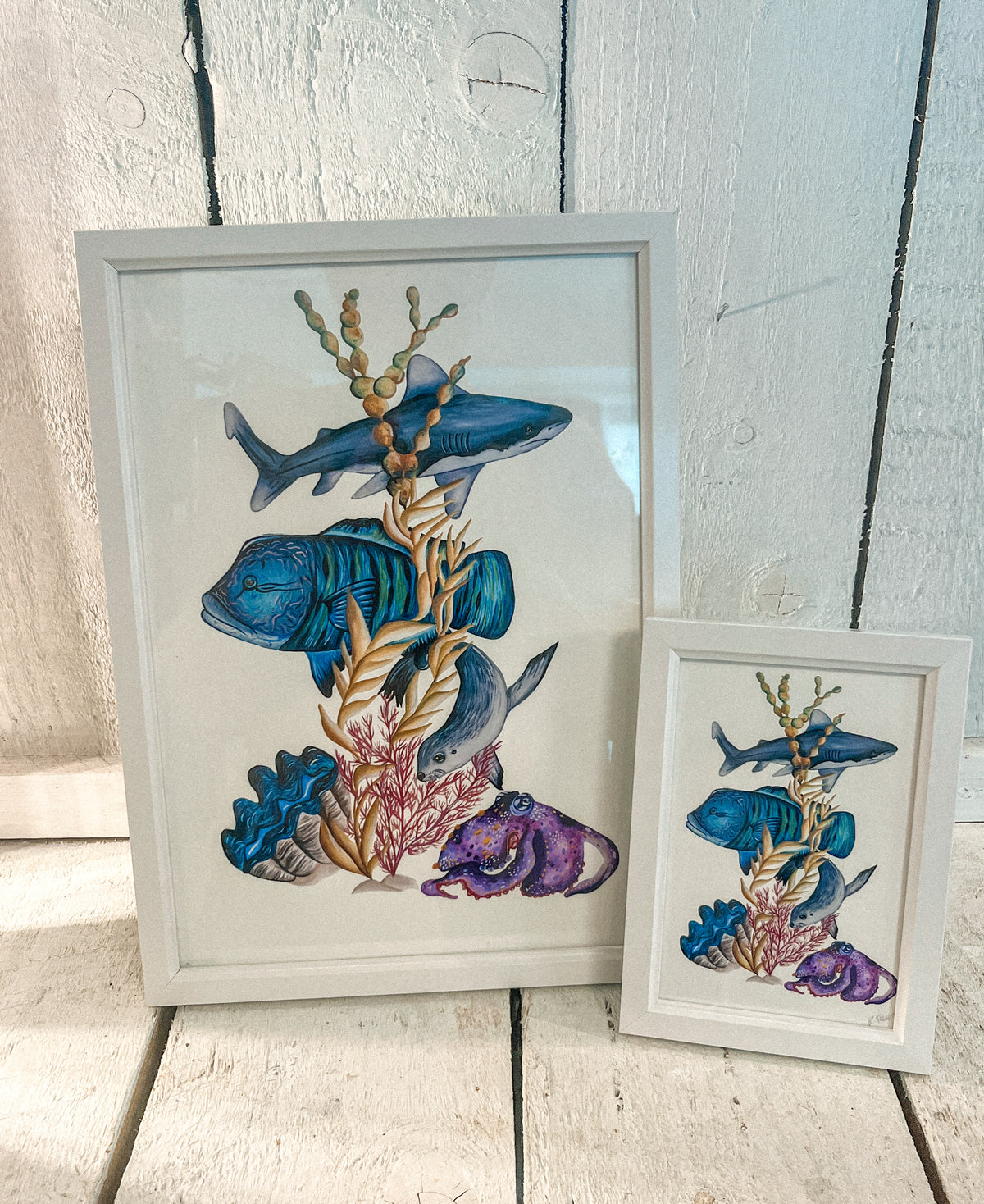 Reef Life in Motion Fine Art Print
