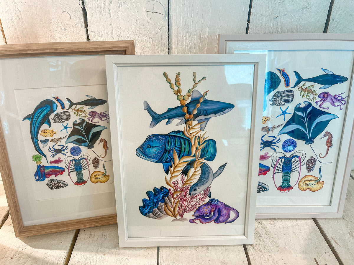 Reef Life in Motion Fine Art Print