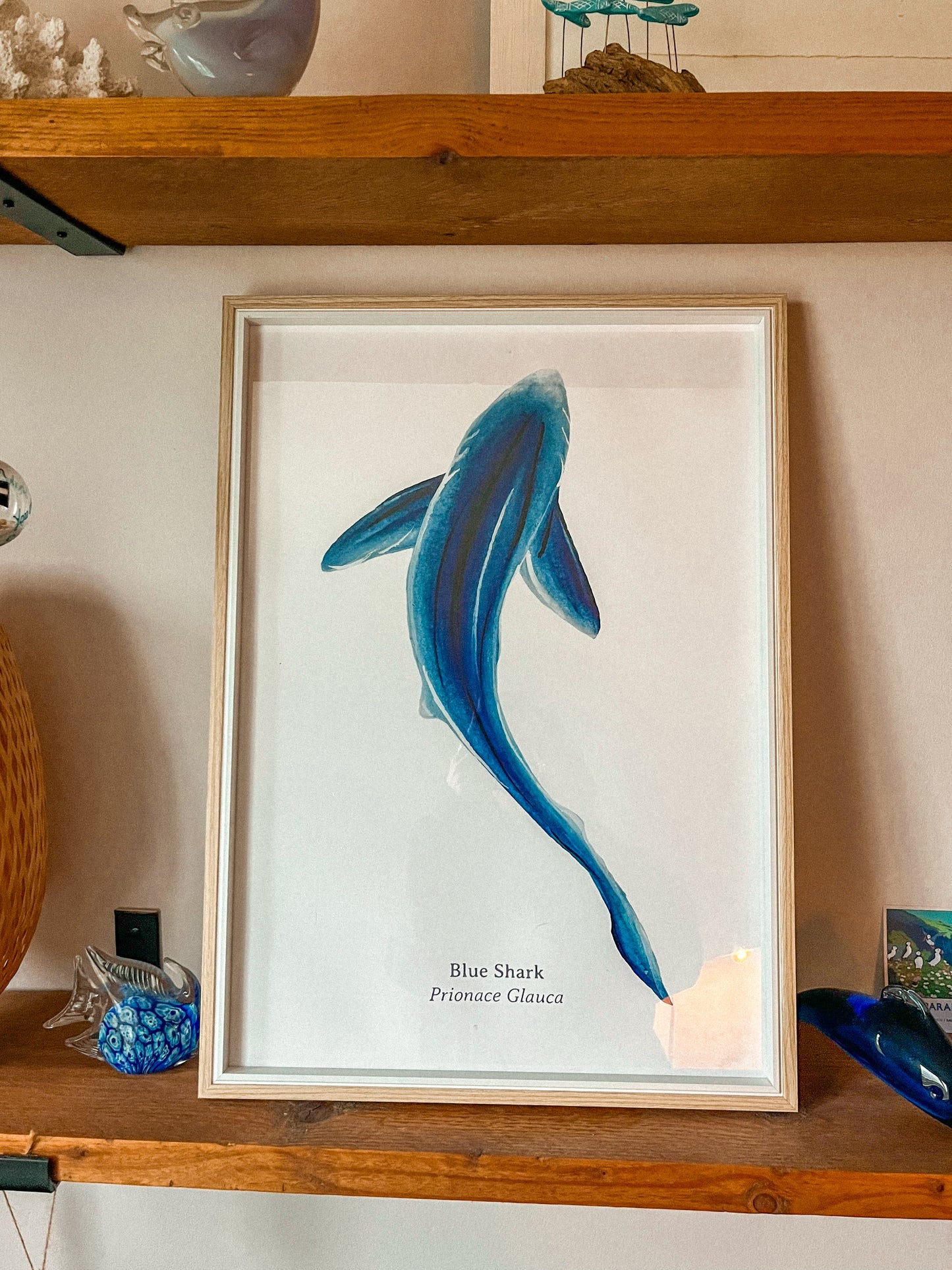 Blue Shark A2 Fine Art Print Framed