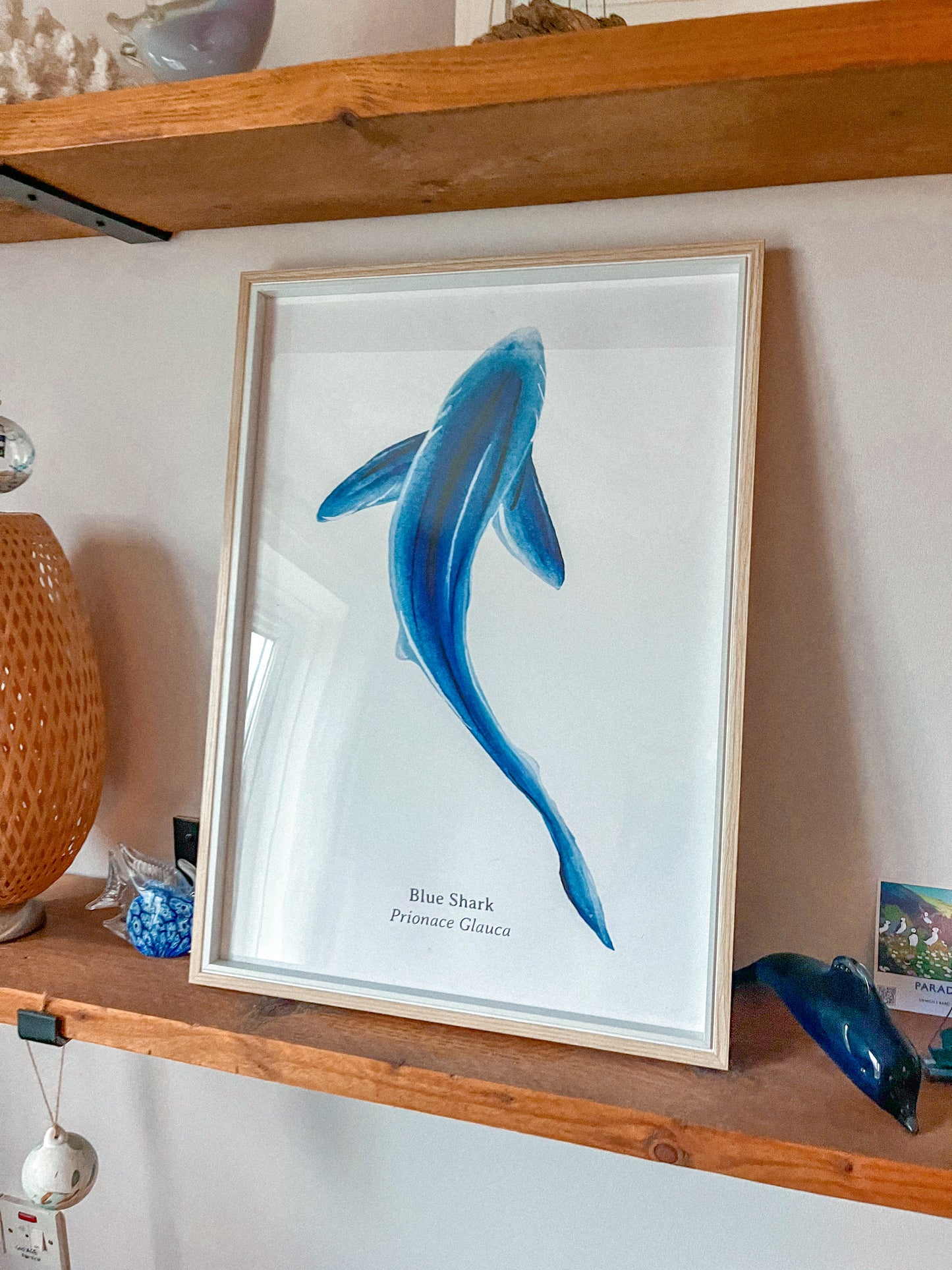 Blue Shark A2 Fine Art Print Framed