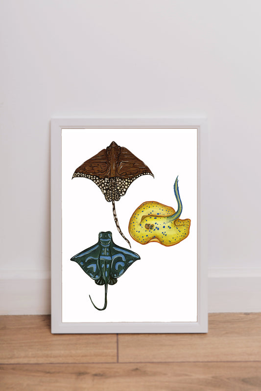 The May Archive Fine Art Print