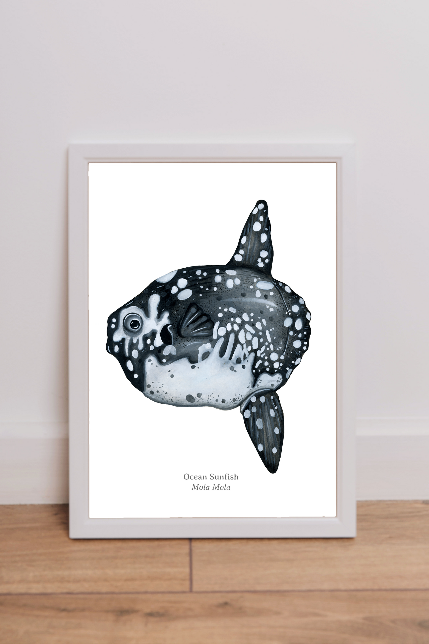 Ocean Sunfish Fine Art Print