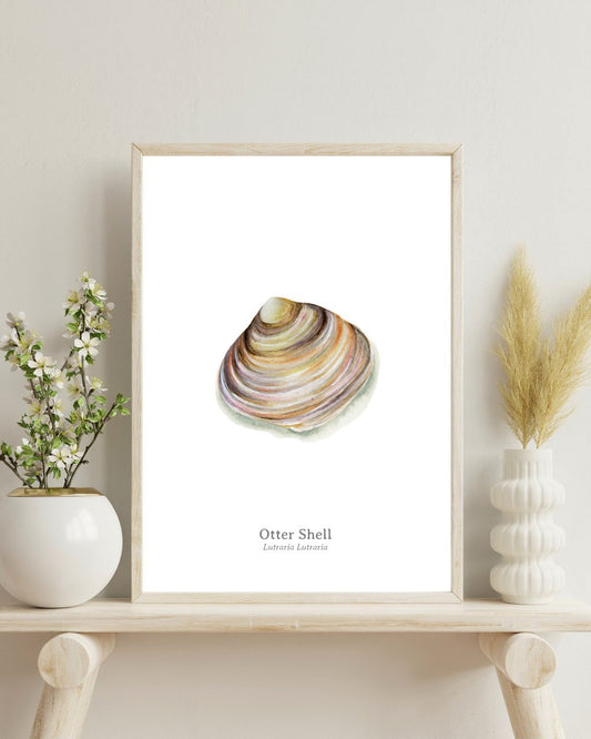 Otter Shell Fine Art Print