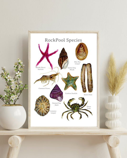 The Rockpool Poster