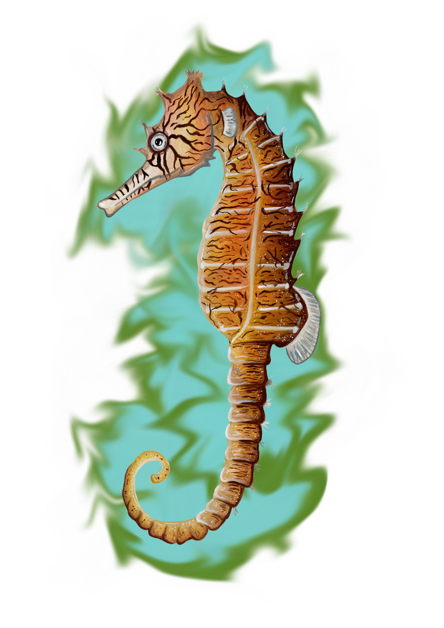The Seahorse Bloom Fine Art Print
