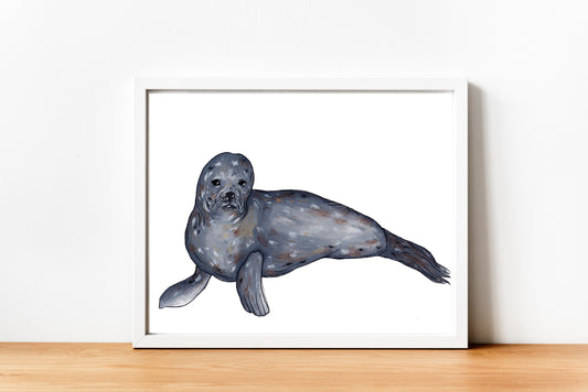 Seal Fine Art Print