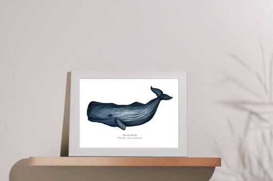 Sperm Whale Fine Art Print