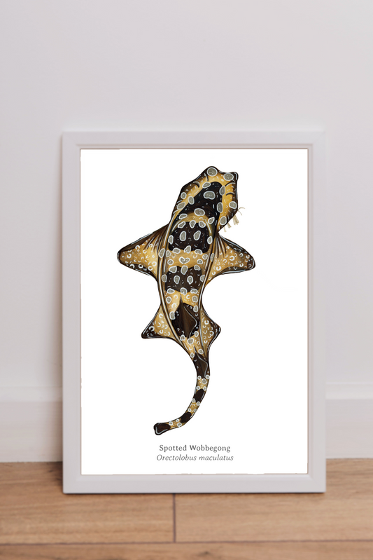 Spotted Wobbegong Fine Art Print