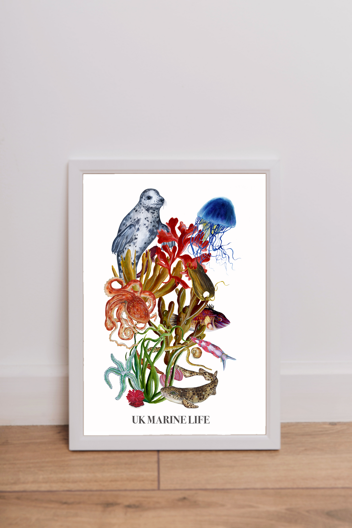 The UK Marine Life Fine Art Print