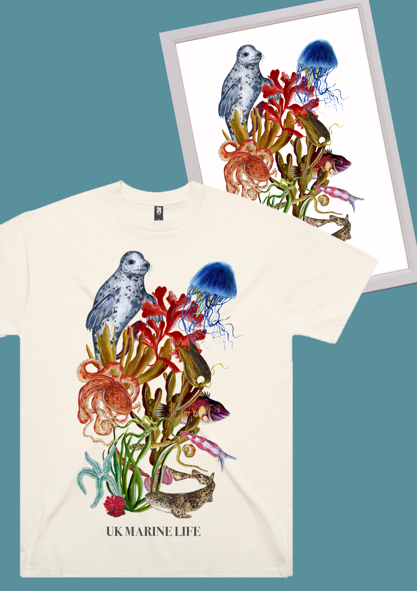 The UK Marine Life Bundle