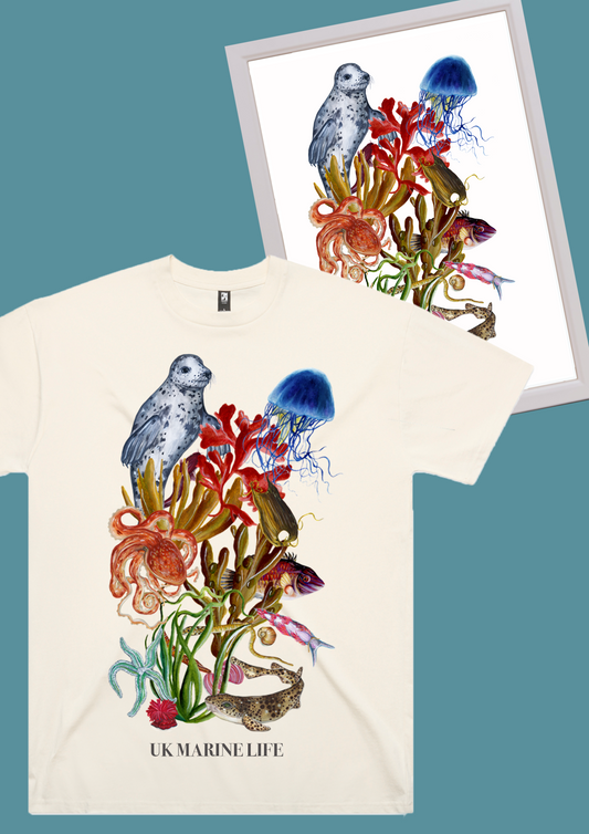 The UK Marine Life Bundle