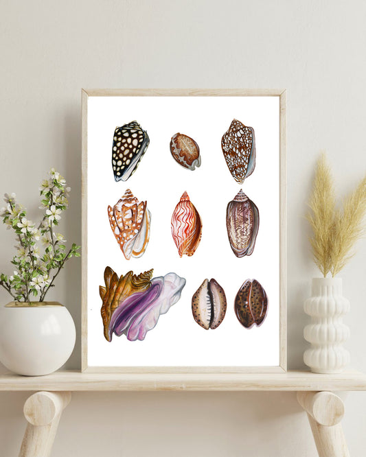 Shoreline Treasures Fine Art Print