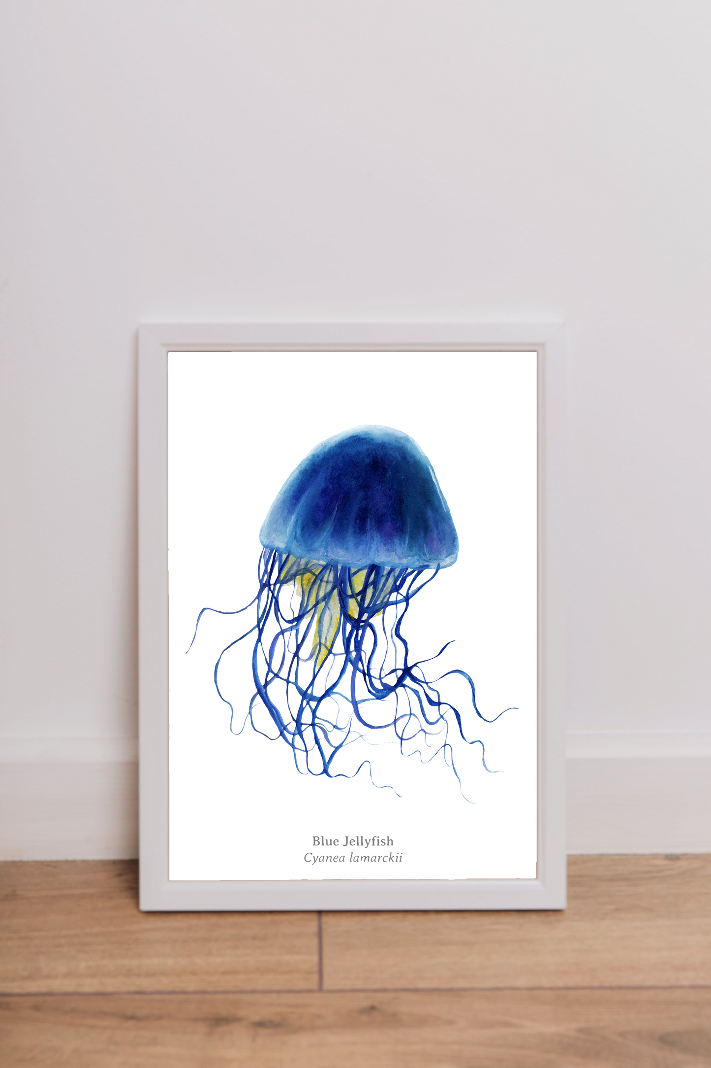 Blue Jellyfish Fine Art Print