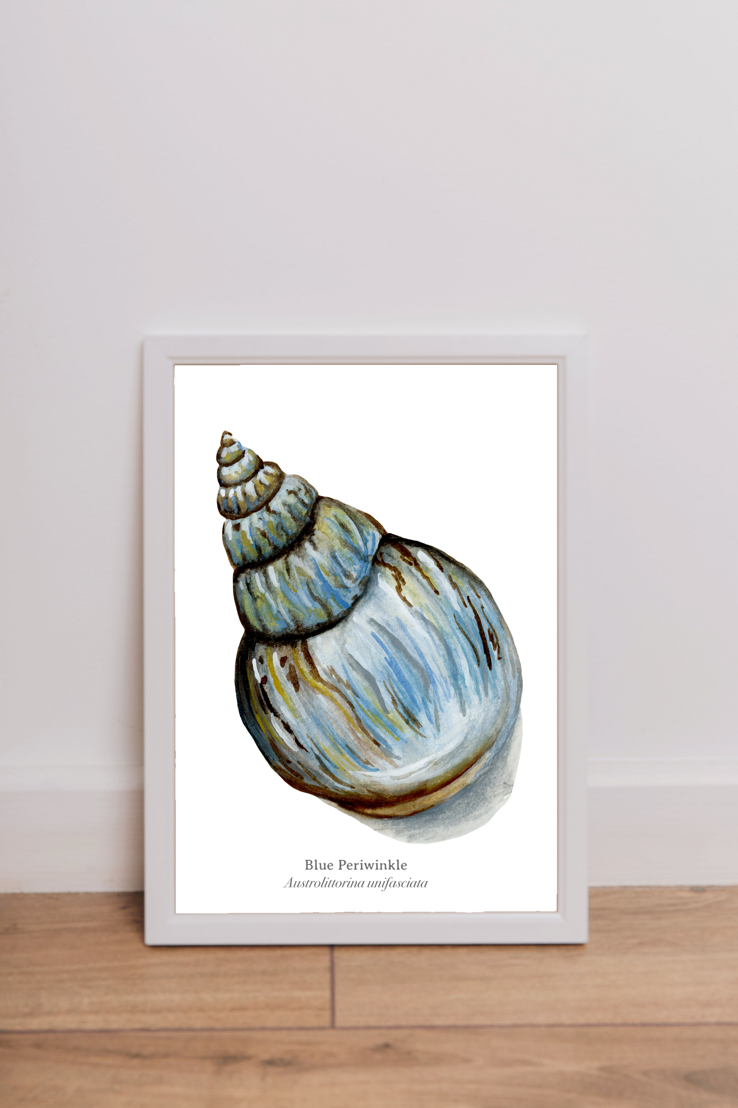 Blue Periwinkle Fine Art Print