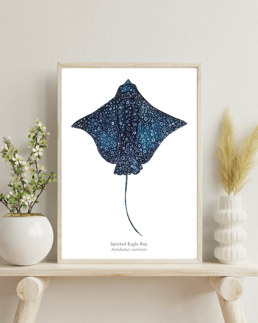 Spotted Eagle Ray Fine Art Print