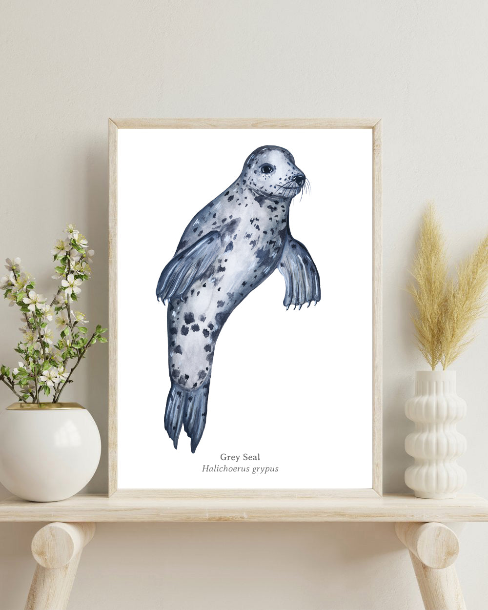 Grey Seal Swimming Fine Art Print