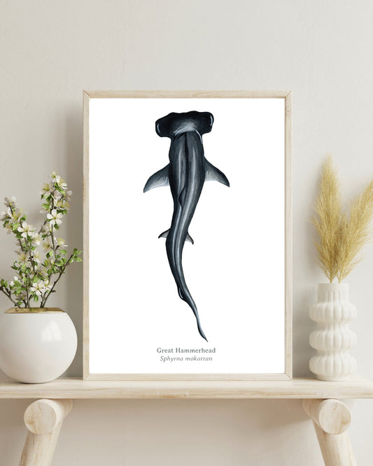 Great Hammerhead Fine Art Print