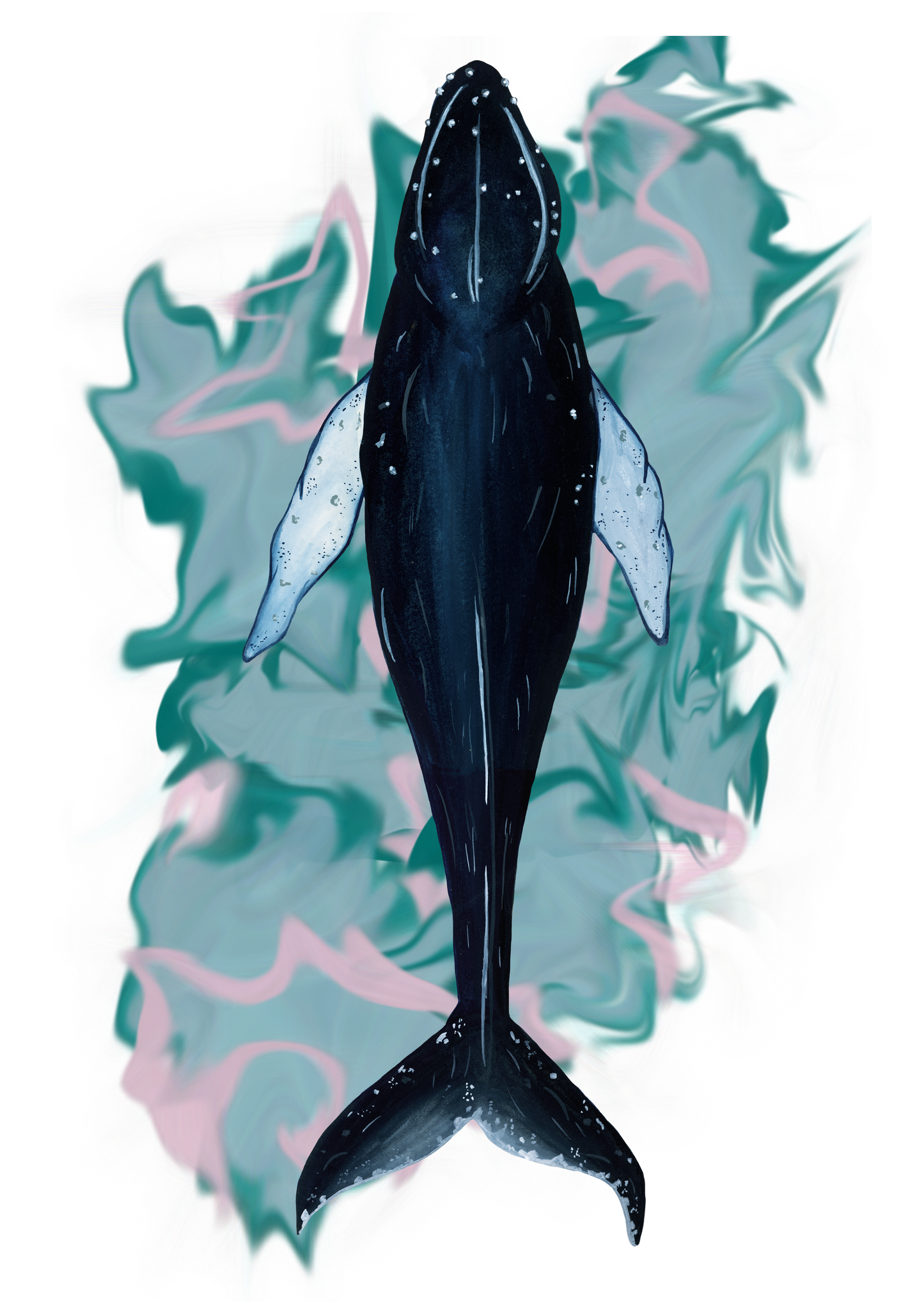 The Humpback Motion Fine Art Print