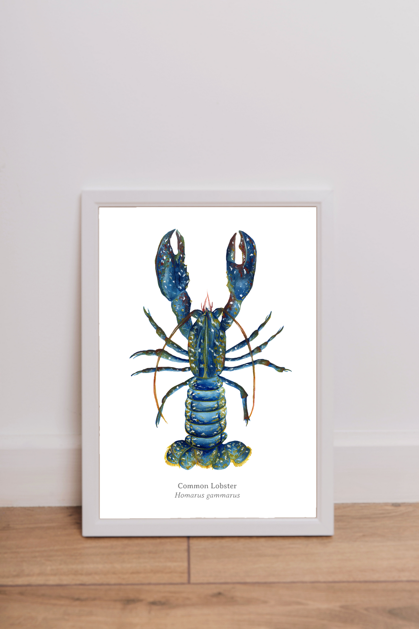Common Lobster Fine Art Print