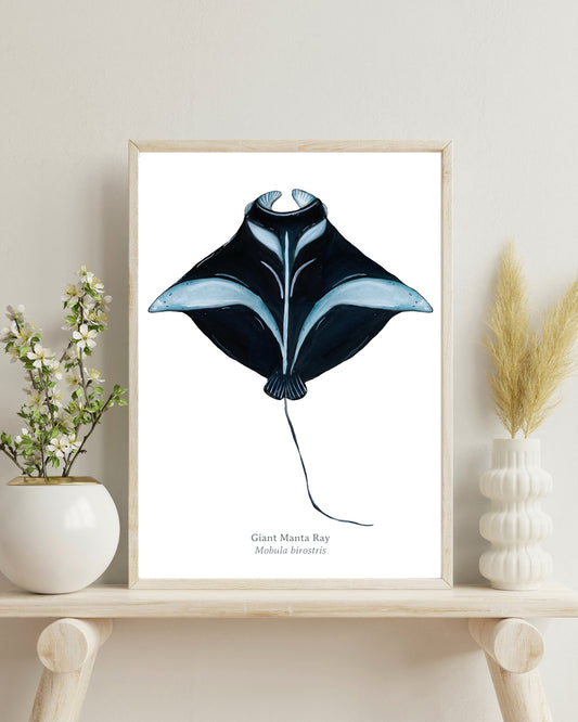 Manta Ray Fine Art Print